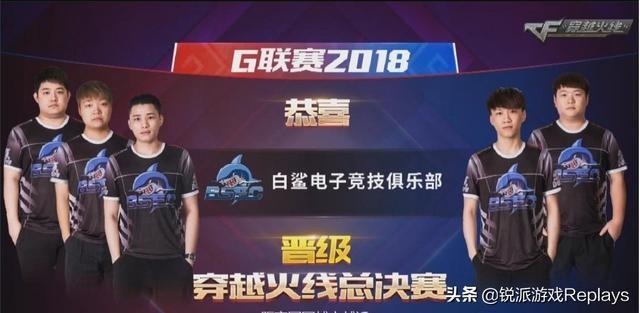 牵出护筐者